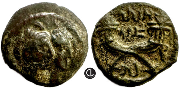 Nabataea, Aretas IV with Shuqailat I, AE, Petra Mint, after 17 AD